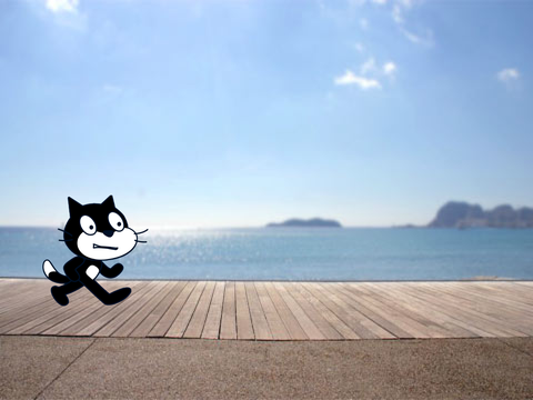 Black cat's interview