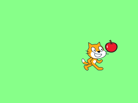 Run From the Cat