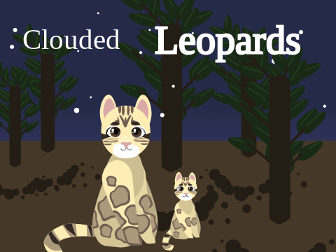 Clouded Leopards