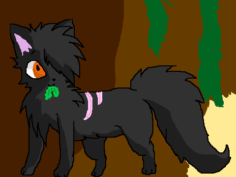 Warrior Cat CC Yellowfang