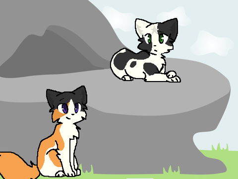 Cowstar and flowerfire  