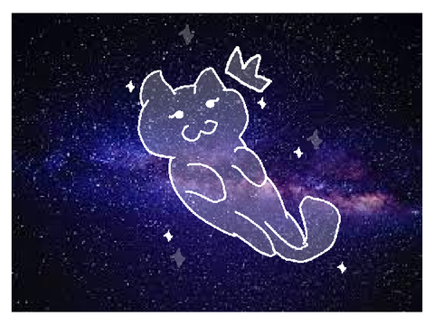 New PFP