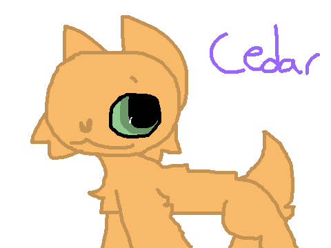 DS FANART