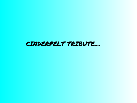 Cinderpelt Tribute