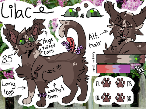 WIP lilac warrior ref :eyes: