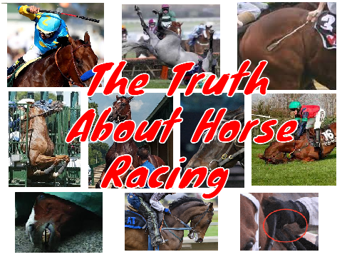 The Truth About Horse Racing