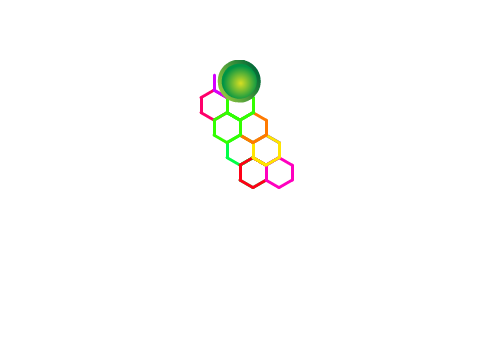 Varsity Exercise 2.2 V Hexagon T