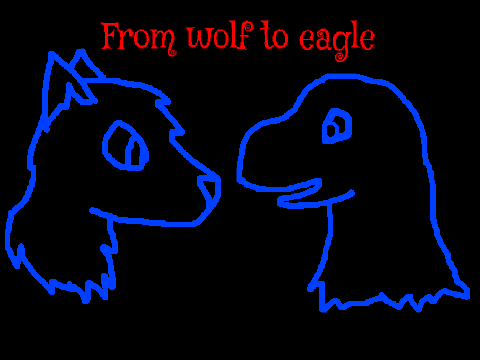 Wolf-Eagle animation lines