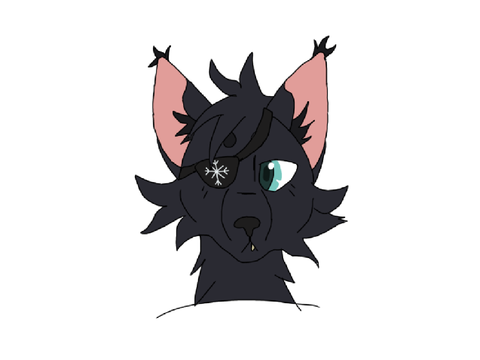 I Drew A Cat