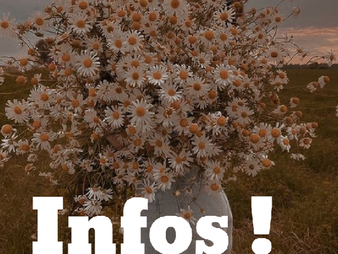 ◇Info !! <3