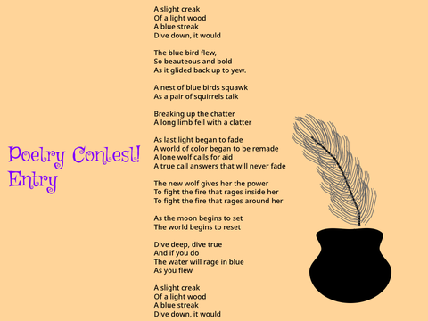 Poetry Contest OPEN Entry
