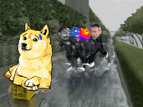 Get Doge!