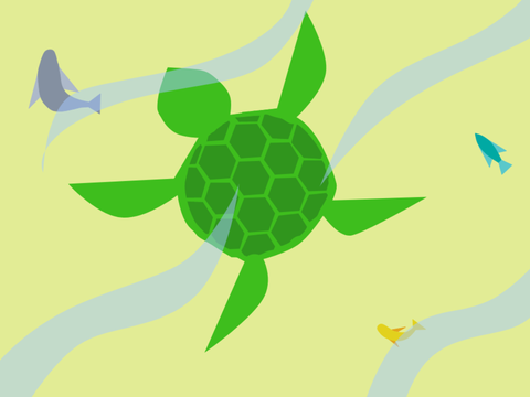 Sea turtle