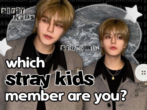 stray kids quiz