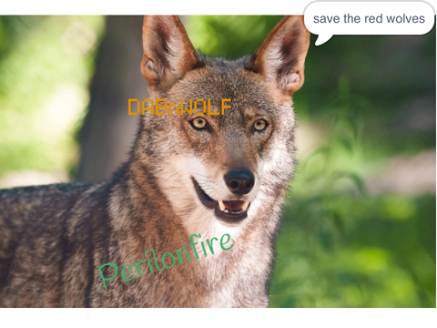 remix and sign If You Want To Save The Red Wolves remix
