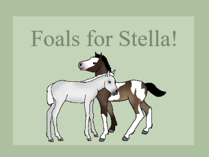 The foals