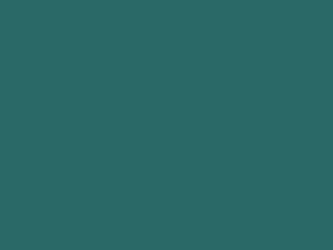 Random animation 