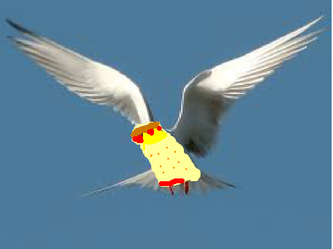 For TinyCornCob6 dont click the flag pls