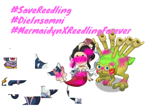 #MermaidynXReedlingForever