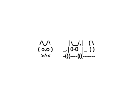 Cat faces