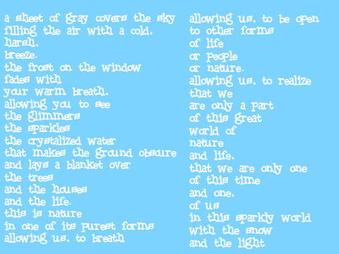 Poetry Contest (Winter Scratch Camp) : Julia's Entry