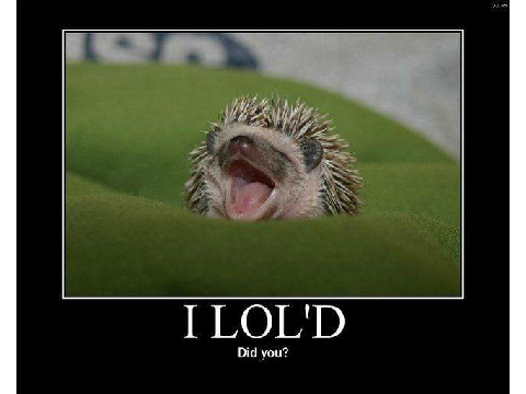 I lol'd