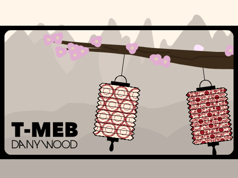 T-MEB Visualizer