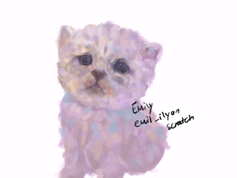 cat (now finished)