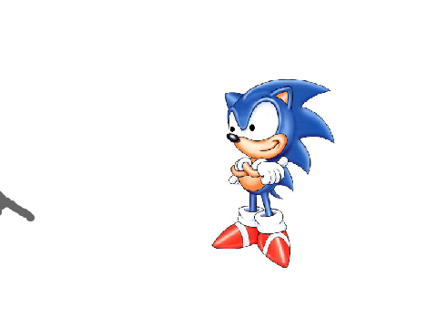 WHAT ARE THOSE SONIC?
