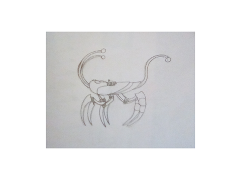 Bug Ref 