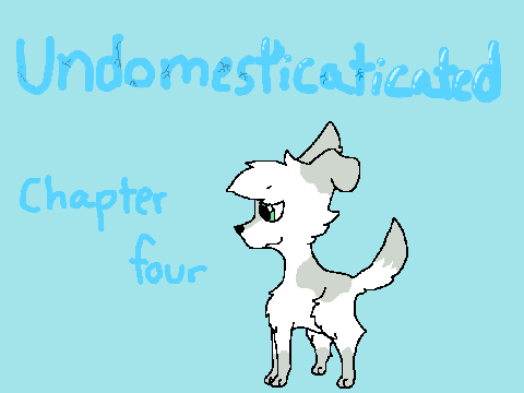 Undomesticated || Chapter 4