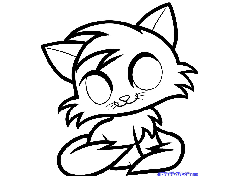 Cat  CC~OPEN