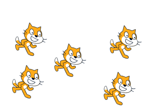 spinning cat
