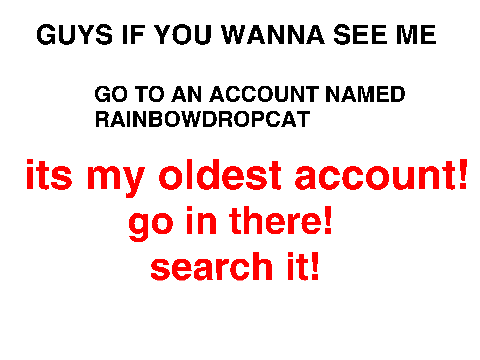 go to an account named rainbowdrop cat