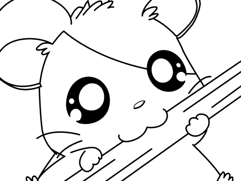 Cute CC~OPEN
