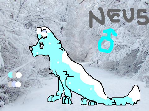 *First Project* Neus