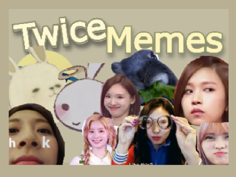 ✿ Twice Memes ✿ (ﾉ◕ヮ◕)ﾉ*:･✧ 