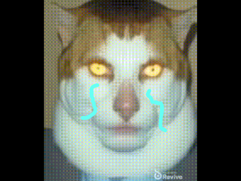 monday left him broken  :(
