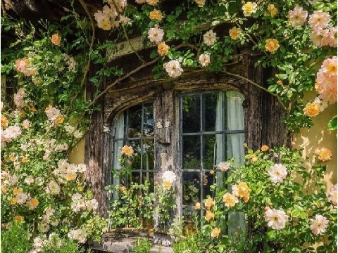 A Cottage in the Country <3 - Cottagecore playlist 