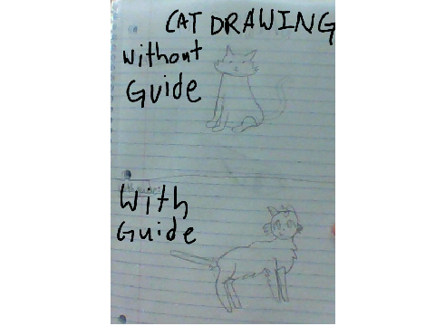 how i draw cat