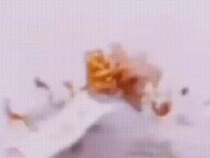 all our food keeps blowing up!