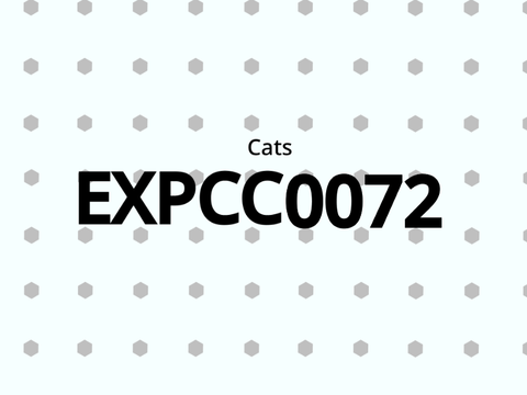 My Cat