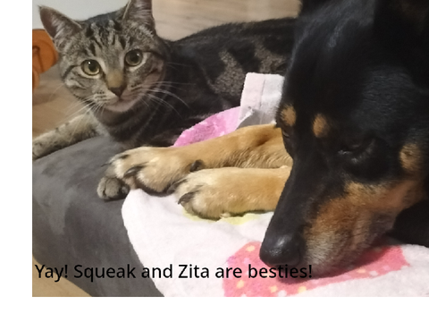 Squeak photos that the world needs to see