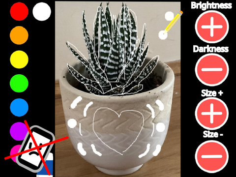 Customise the cactus!