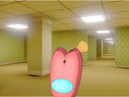 Sus 3D