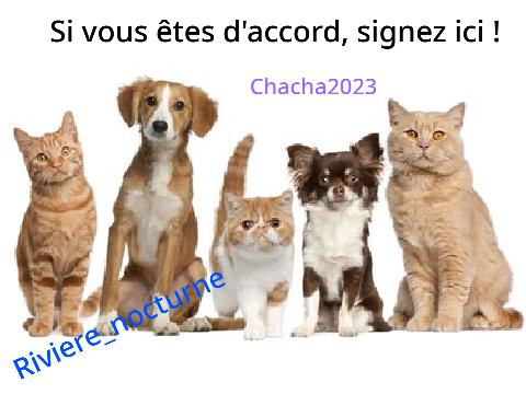 Non à l'abandon et la maltraitance des animaux ! remix