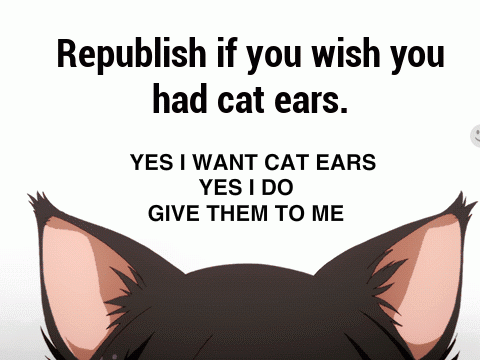 If You Wish You Had Cat Ears... 