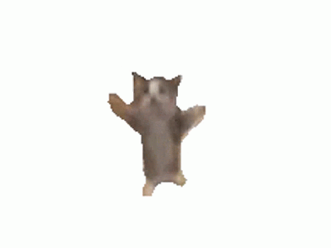 happy cat