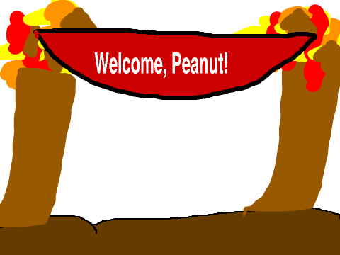 Peanut's Home