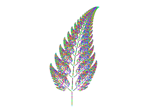 Fern!
